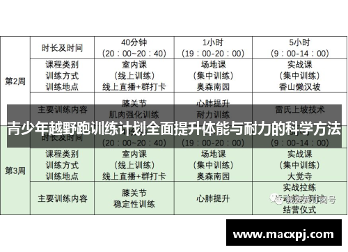 青少年越野跑训练计划全面提升体能与耐力的科学方法